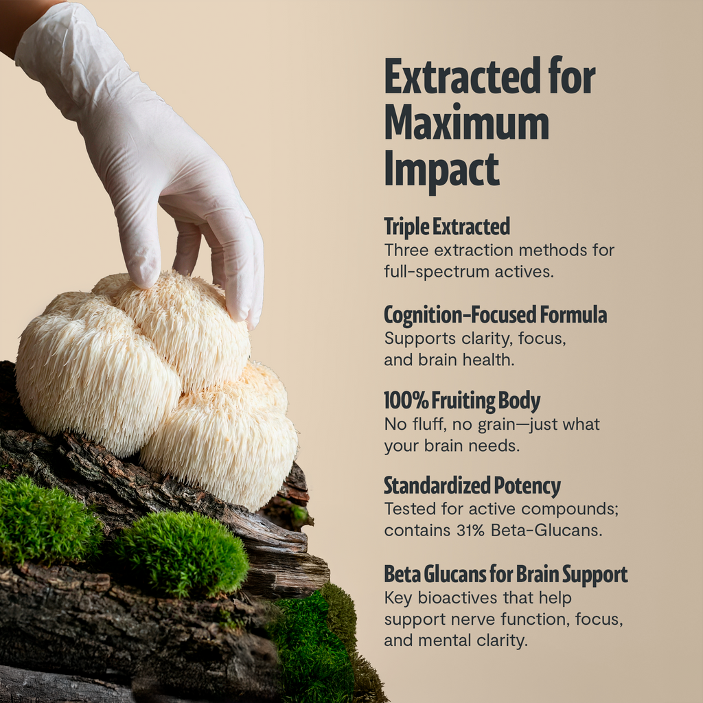 Organic Lion’s Mane Capsules